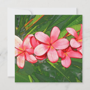 Plumerias Karte