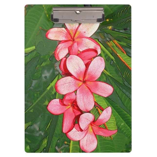 Plumerias Klemmbrett (Vorderseite)