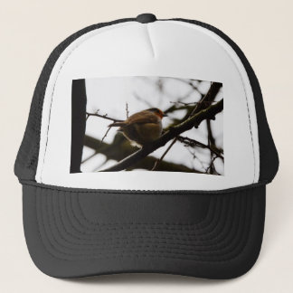 Plump English Robin Truckerkappe