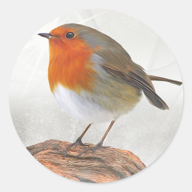 Plump Robin RedBrust Runder Aufkleber (Vorderseite)