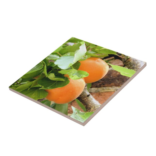 PLUMS FLIESE (Seite)