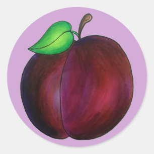 Plums Reif Sommer Lila Plum Frucht Illustration Runder Aufkleber