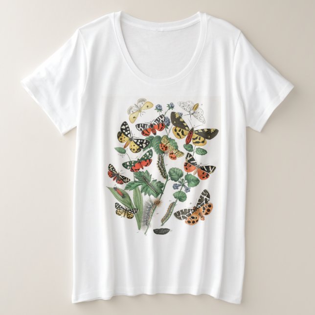 PLUS-GRÖSSE T - SHIRT-SCHALTFLY-ILLUSTRATION FRAUE GROßE GRÖßE T-Shirt (Design vorne)