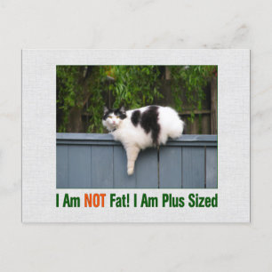 Plus Sized Kitty Postkarte