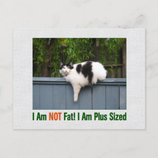 Plus Sized Kitty Postkarte
