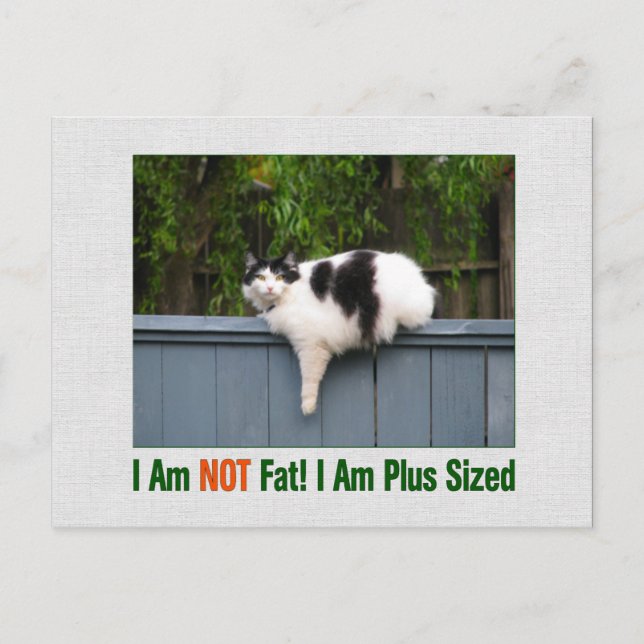 Plus Sized Kitty Postkarte (Vorderseite)