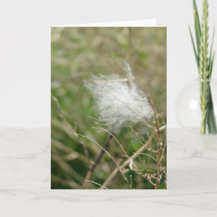 Plüsch für alle Anlässe Karte