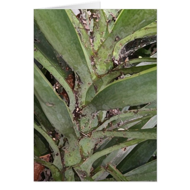 Plüsch-Palme (Vorne)