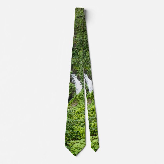 Plush Thunderbird Painterly Neck Tie Krawatte (Vorderseite)