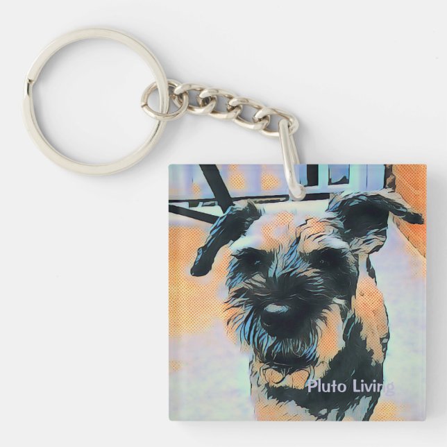 Pluto Schlüsselanhänger (Vorderseite)