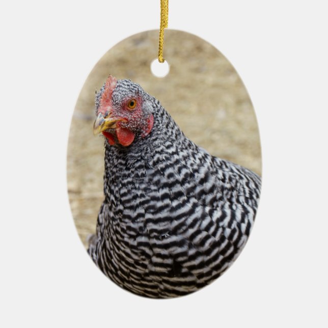 Plymouth Barred Rock Hen Fotograf Keramik Ornament (Vorne)