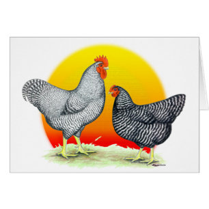 Plymouth-Felsen:  Sonnenaufgang