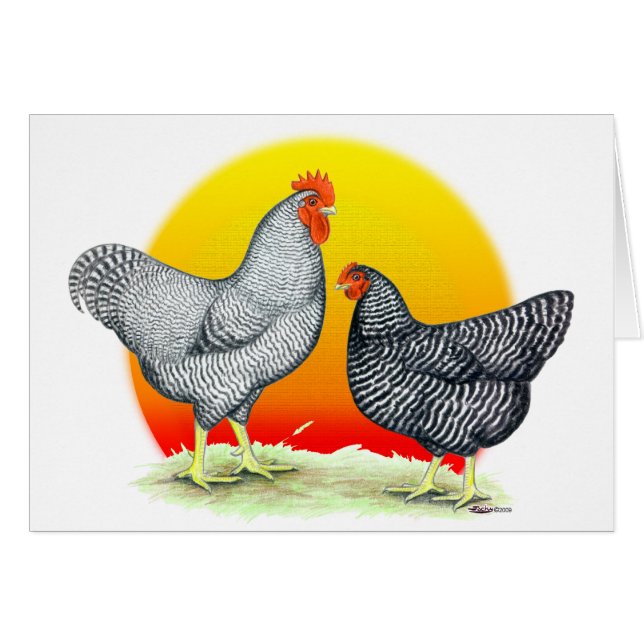 Plymouth-Felsen:  Sonnenaufgang (Vorderseite (Horizontal))