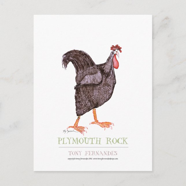 PLYMOUTH ROCK HEN, tony fernandes Postkarte (Vorderseite)