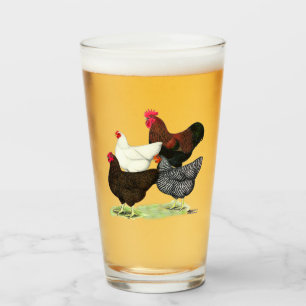 Plymouth Rock Quartett Glas