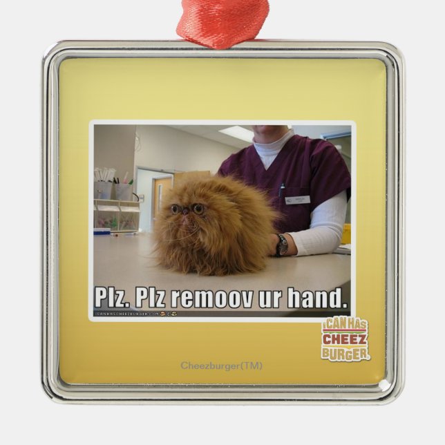 PLZ remoov ur Hand Ornament Aus Metall (Vorne)