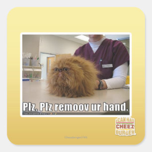 Plz remoov ur hand quadratischer aufkleber