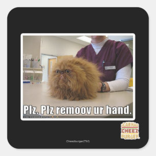 Plz remoov ur hand quadratischer aufkleber