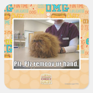 Plz remoov ur hand quadratischer aufkleber