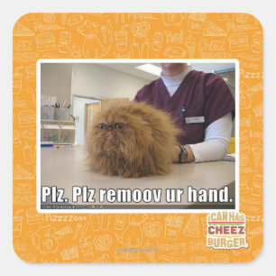 Plz remoov ur hand quadratischer aufkleber