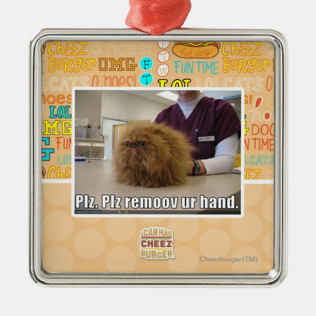 PLZ remoov ur Hand Silbernes Ornament (Vorne)