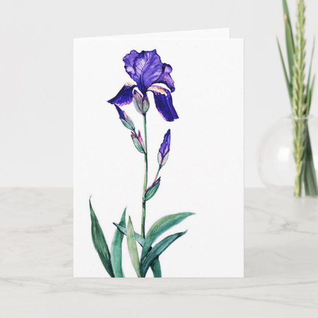 PMACarlson Garden Iris Card Karte (Vorderseite)