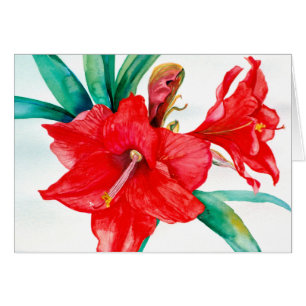 PMACarlson rote Amarylis Karte