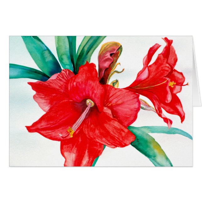 PMACarlson rote Amarylis Karte (Vorderseite (Horizontal))