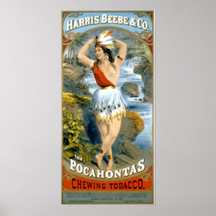 Pocahontas Indianerin für Amerikanische Jungfrau Poster