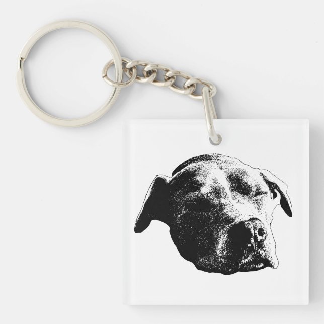 Pocket Stille Freunde Schlüsselanhänger (Vorderseite)