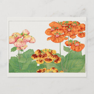 Pocketbook Pflanze von Tanigami Konan Postkarte