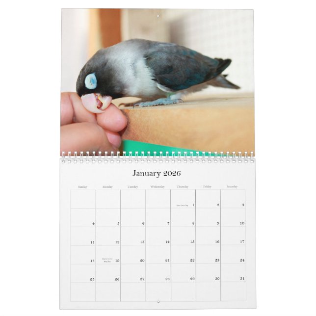 Pocky Lovebirdbonbongedächtnis Kalender (Jan 2026)