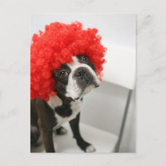 Pocky Postcards Postkarte