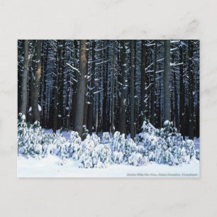 Pocono-Berge. Pennsylvania Postkarte