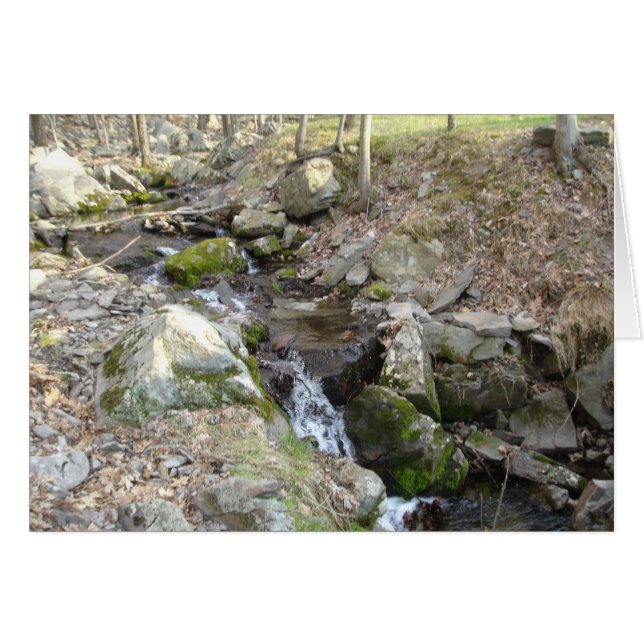 Poconos Pennsylvania (Vorderseite (Horizontal))