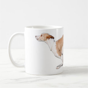 podenco tasse