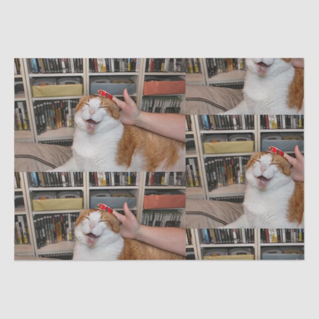 Podgy Scarlett Wrapping Paper Seidenpapier (Vorderseite)