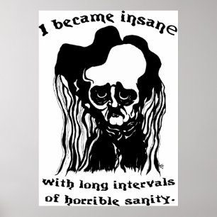 Poe-Plakat Poster