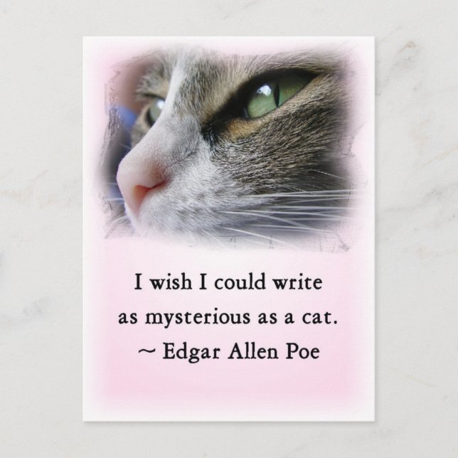 Poe's Cat Postkarte (Vorderseite)