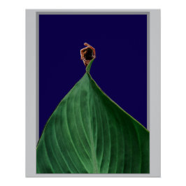 Poético Verde Orgânico Folha Estética Natural Poster