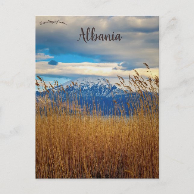 Pogradec Korçë Landkreis Albanien Postkarte (Vorderseite)