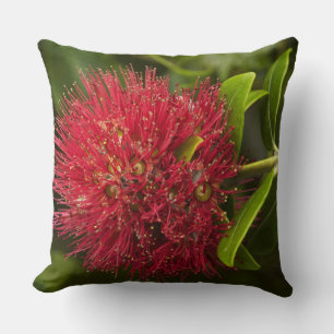 Pohutukawa-Blüte, Dunedin Kissen