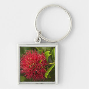 Pohutukawa-Blüte, Dunedin Schlüsselanhänger