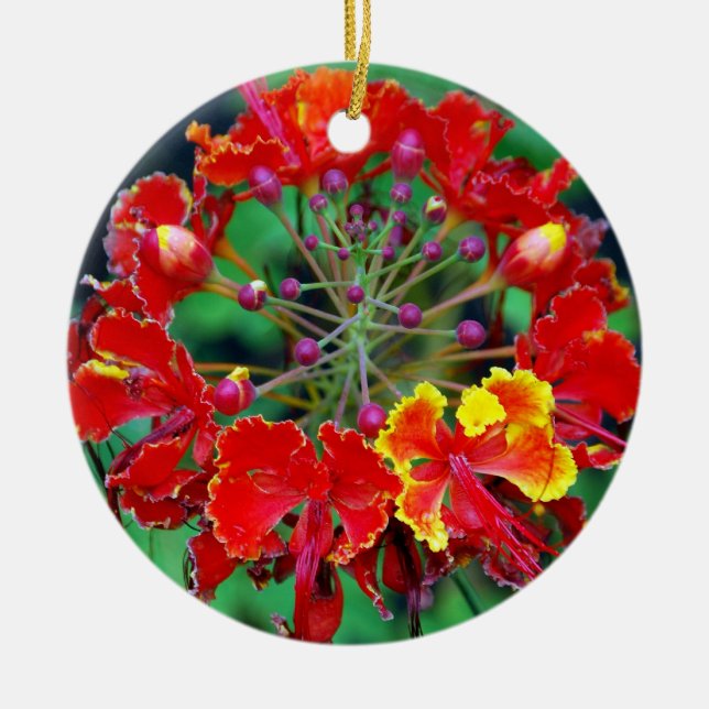 Poinciana (ohai-ali'i) Hawaiianische Blume Ornamen Keramikornament (Vorne)