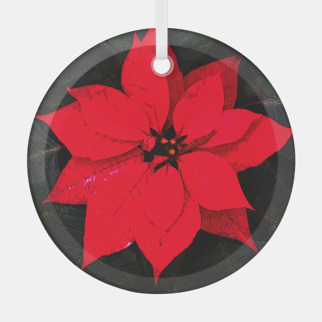 Poinsettia 6078 ornament aus glas (Vorderseite)