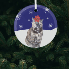 Poinsettia auf der Tortoiseshell Katze mit Snowy H Ornament Aus Glas
