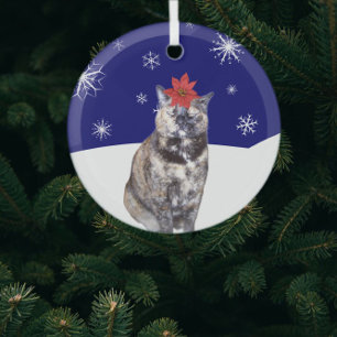 Poinsettia auf der Tortoiseshell Katze mit Snowy H Ornament Aus Glas