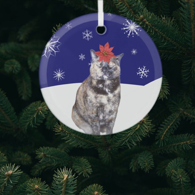 Poinsettia auf der Tortoiseshell Katze mit Snowy H Ornament Aus Glas (Von Creator hochgeladen)