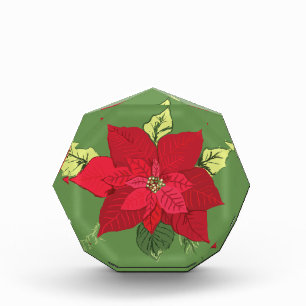 Poinsettia-Blume Fotoblock