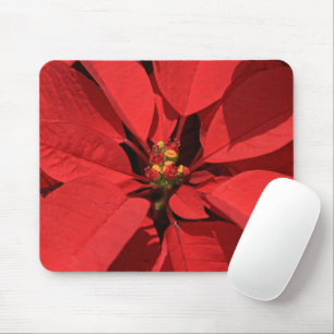 Poinsettia Christmas Flower Mousepad